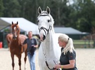 Cornet Light Vet Check